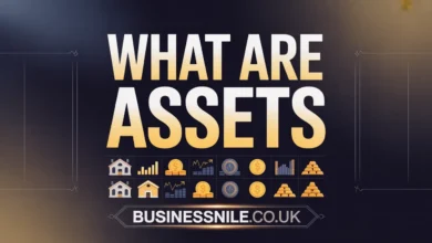 What Are Assets