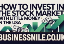 How to Invest in the Stock Market with Little Money in the USA