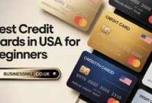Best Credit Cards in USA for Beginners