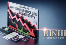 Why Is Nvidia Stock Going Down Today