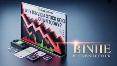 Why Is Nvidia Stock Going Down Today