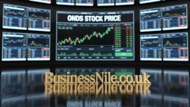 ONDS Stock Price