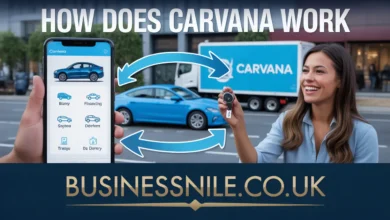 How Does Carvana Work