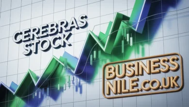 Cerebras Stock