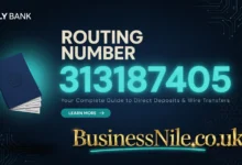 Ally Bank Routing Number