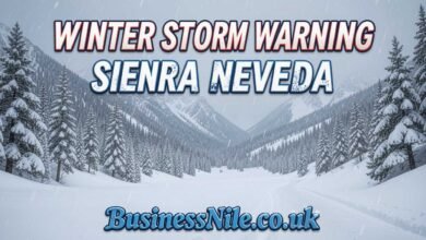 Winter Storm Warning Sierra Nevada