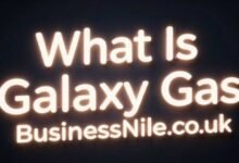 What Is Galaxy Gas