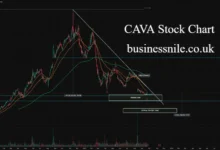 CAVA Stock Chart