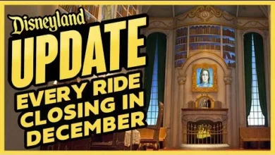 Disneyland Ride Closure December