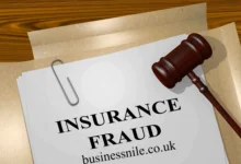 Insurance Fraud Investigator