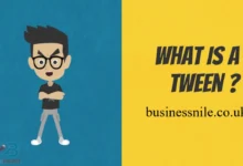 What Is a Tween