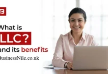 What Is an LLC